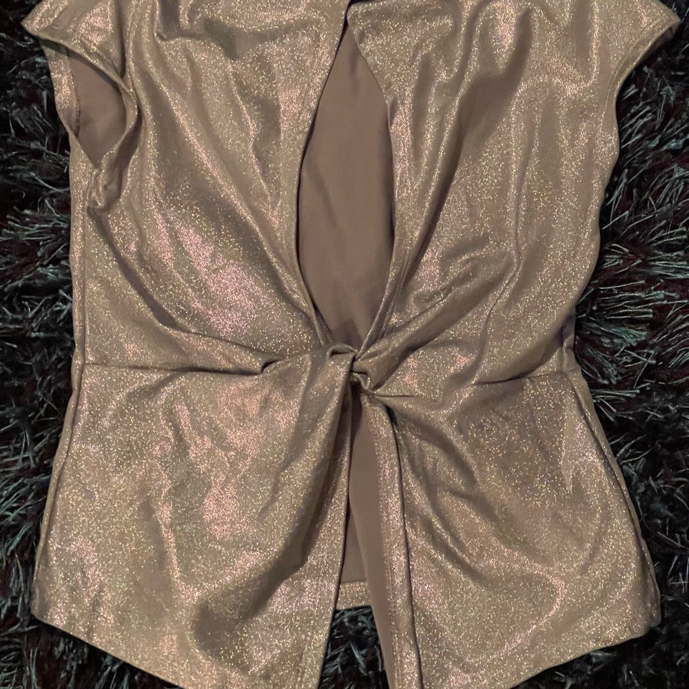Never worn cute silver tie back top new/w/ out tags